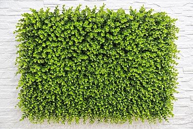 狐尾袭身，摄人心魄！永劫无间新英雄玉玲珑8月10日正式上线